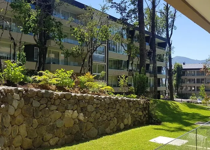 Departamento Pucon Espectacular